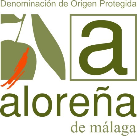Aceitunas Bravo aceituna aloreña denominacion certificada