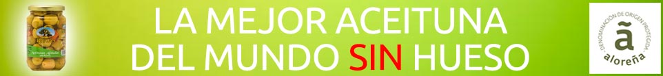 banner-web