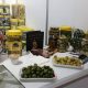 Aceitunas y Encurtidos en Málaga - Aceitunas Bravo