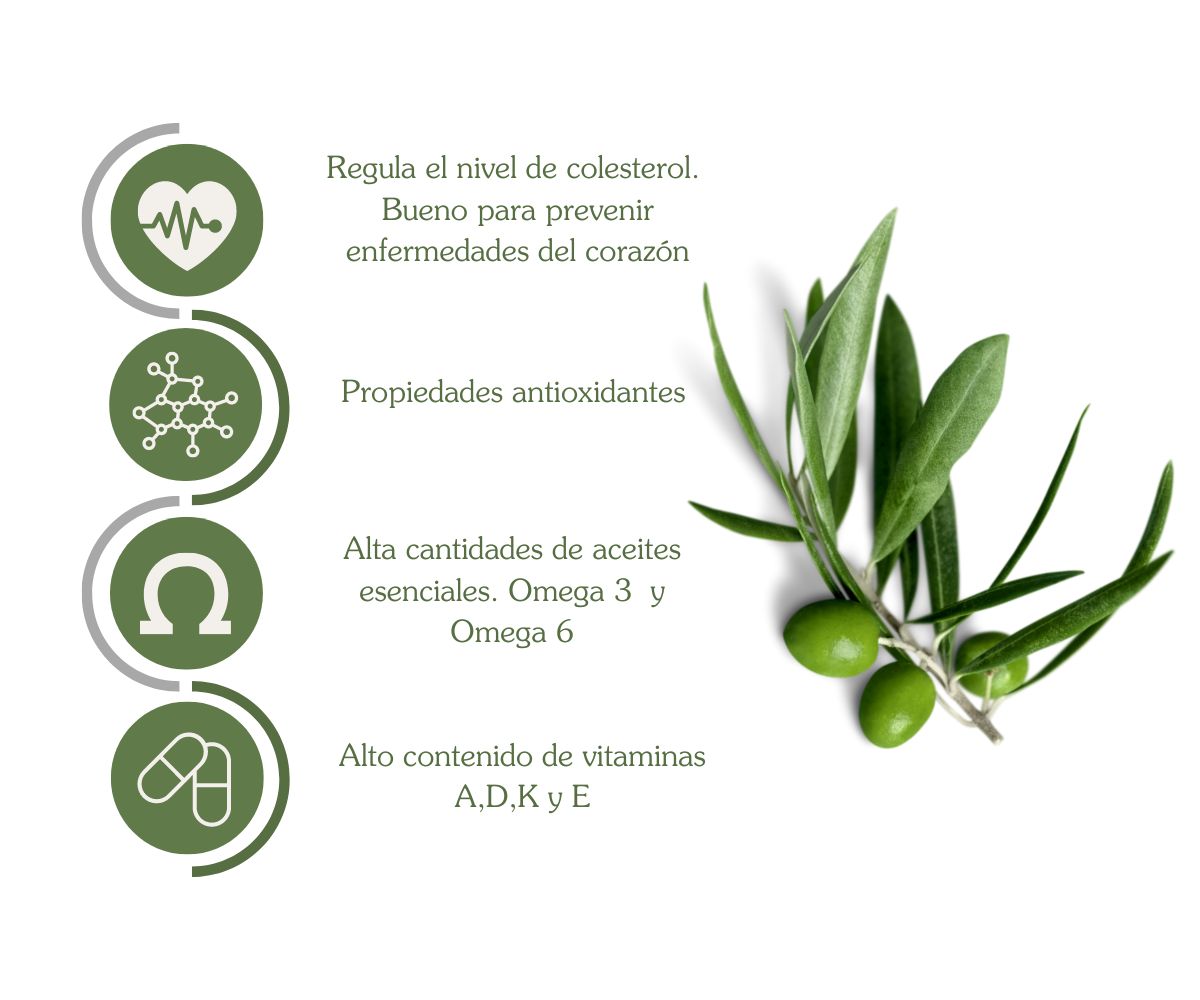 beneficios aceitunas