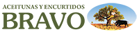 BRAVO-2024-LOGO-headerweb2